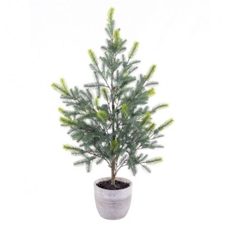 VICKERMAN 37 in. Blue Spruce Sapling Potted EH213537